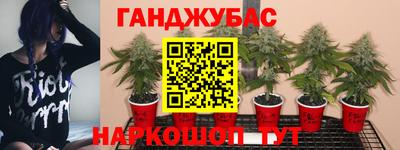 амф Бузулук