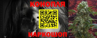шишки Будённовск