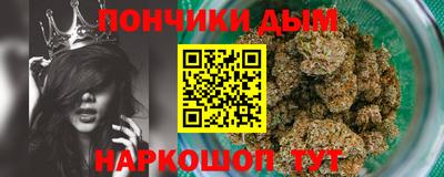 шишки Будённовск