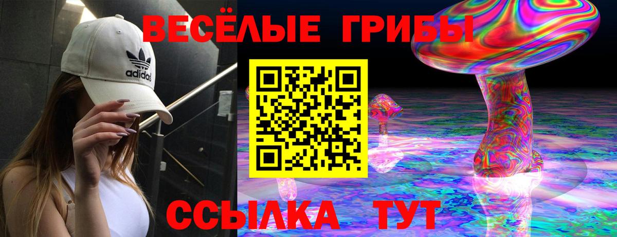 Галлюциногенные грибы Psilocybe  Галлюциногенные грибы Magic Shrooms  Самара  Вход с VPN 